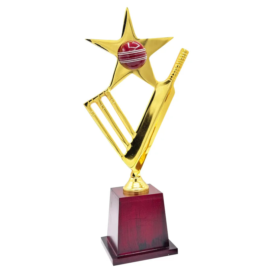 Star Crickter Cricket Trophy – view 10
