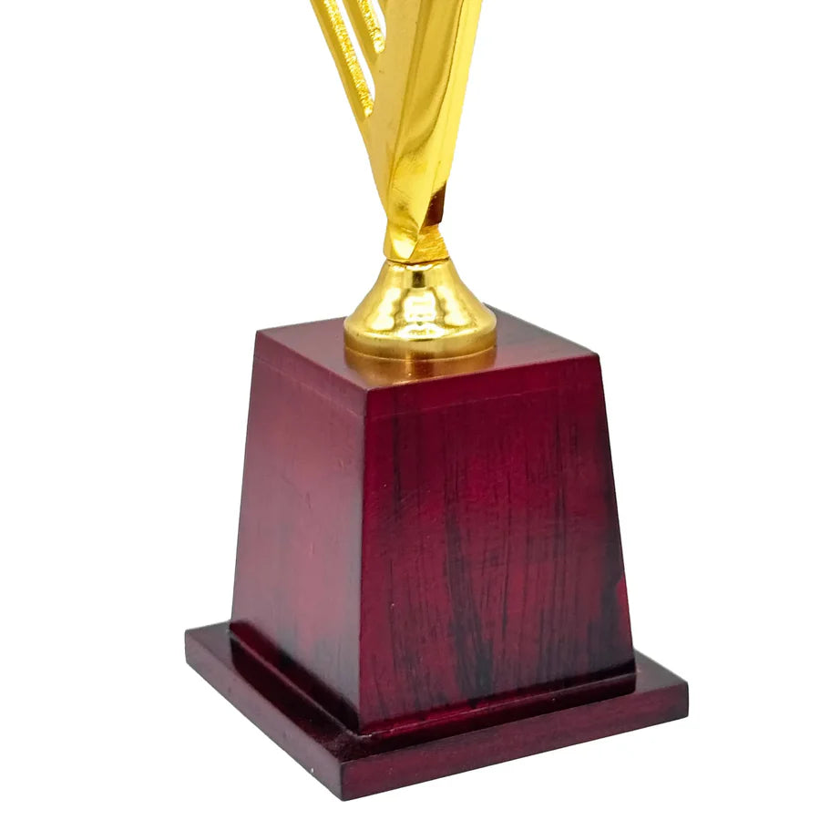 Star Crickter Cricket Trophy – view 2