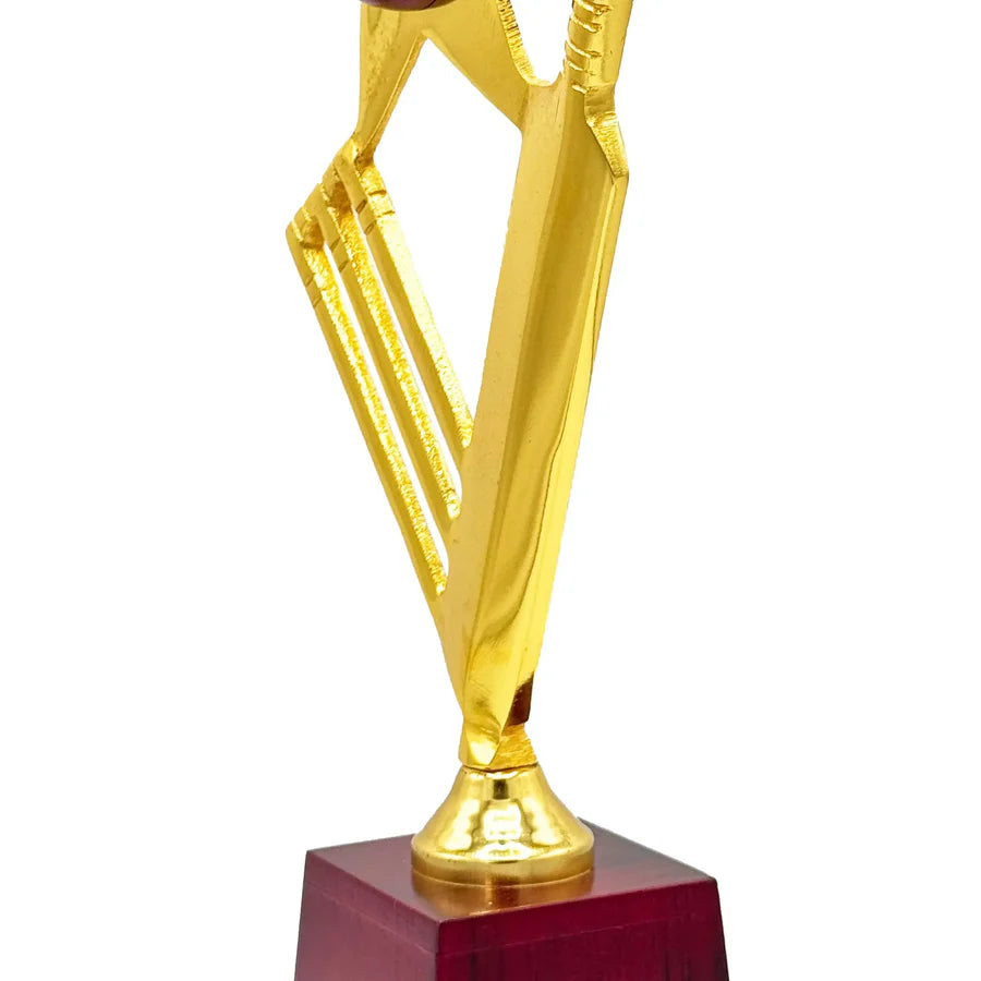 Star Crickter Cricket Trophy – view 3