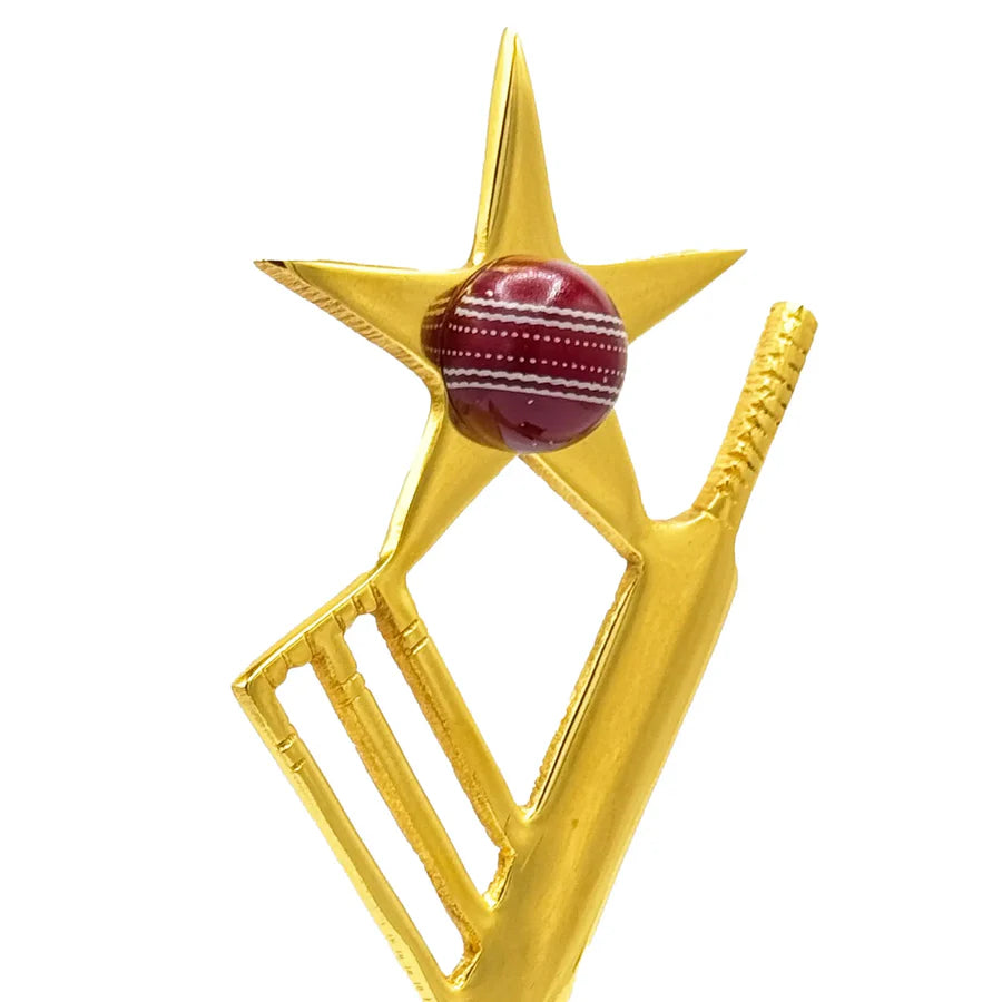 Star Crickter Cricket Trophy – view 6