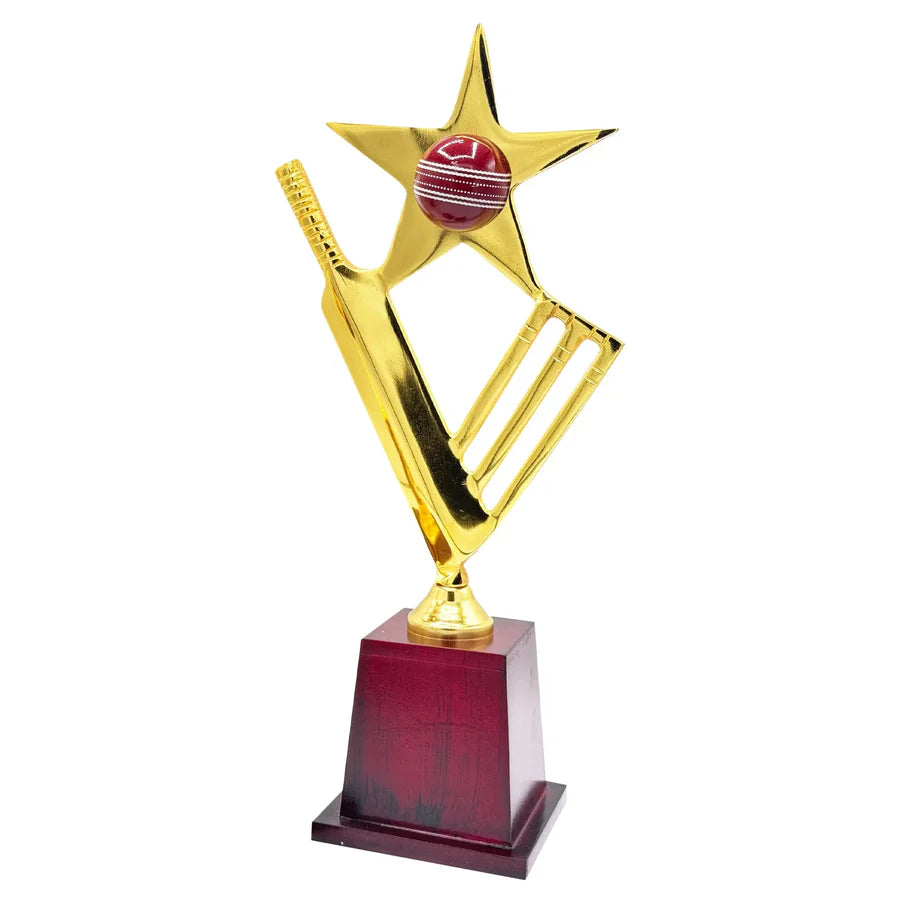 Star Crickter Cricket Trophy – view 7