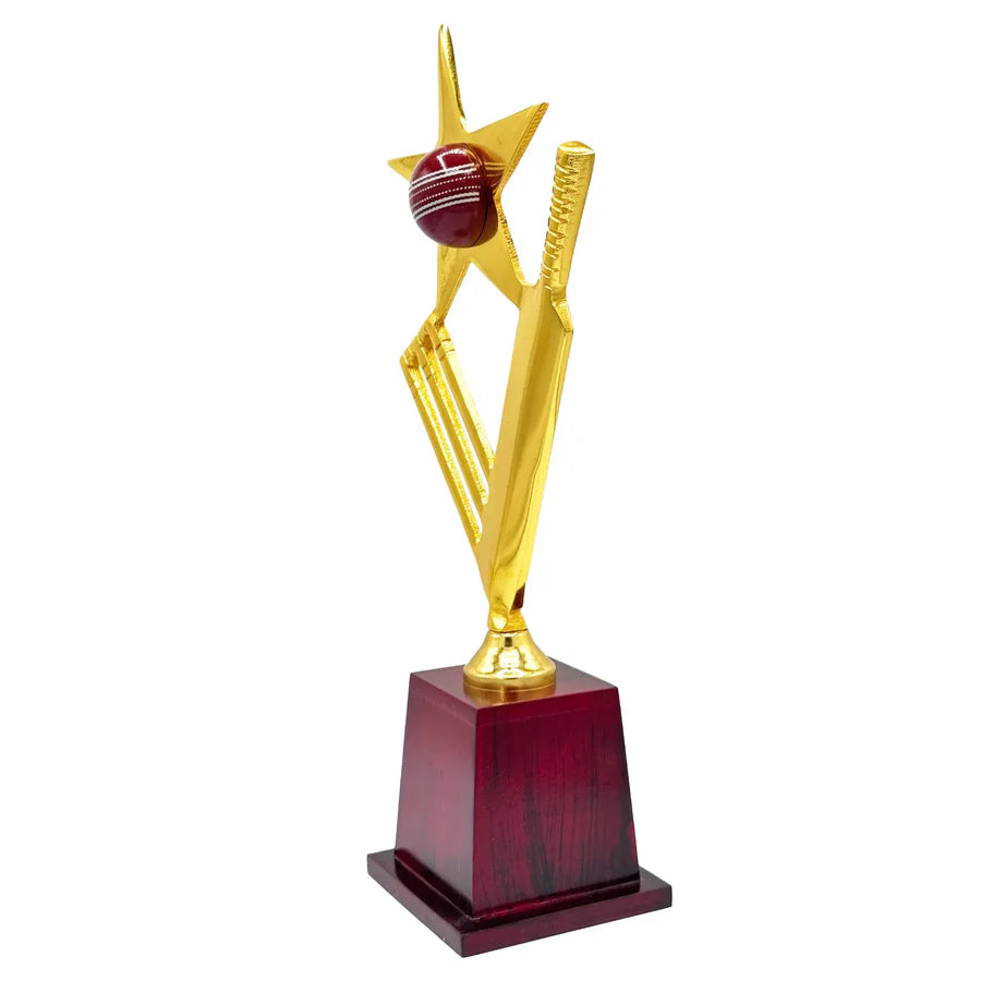 Star Crickter Cricket Trophy – view 8