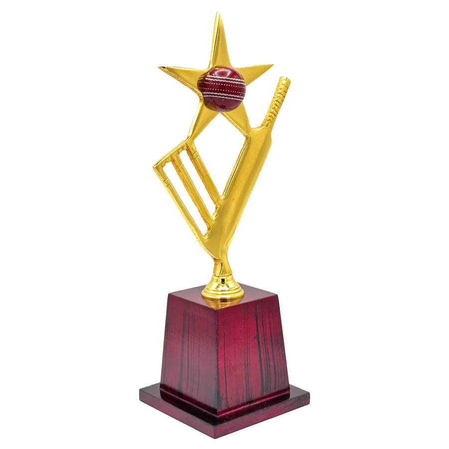 Star Crickter Cricket Trophy – view 9