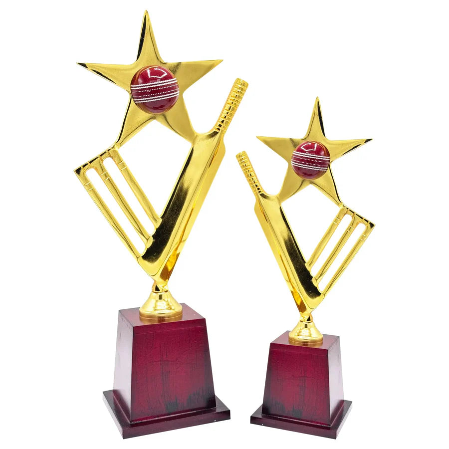 Star Crickter Cricket Trophy