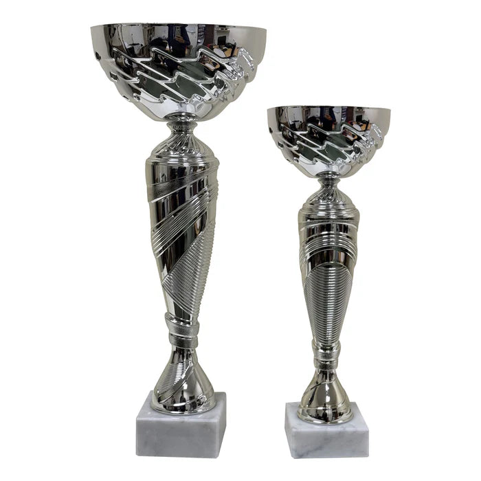 Swift Cricket Trophy Cup