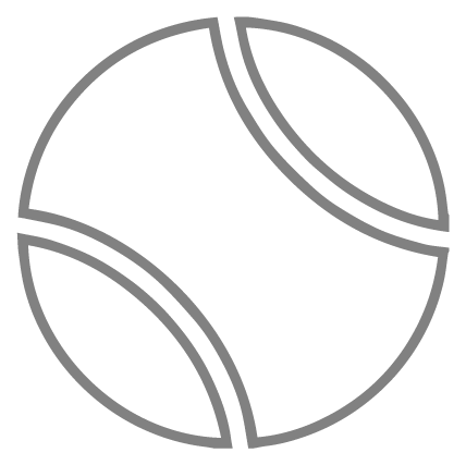 Tennis Cricket Balls