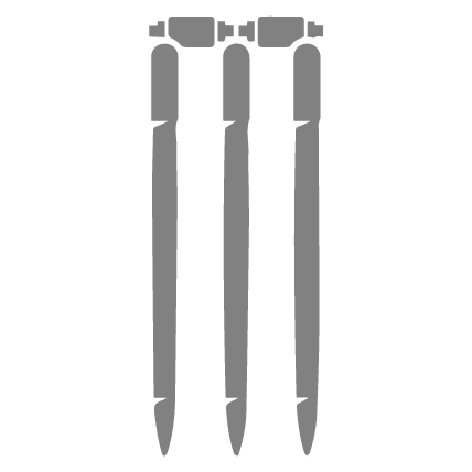 Cricket Wickets