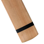 WS Limited Edition Scoop Kashmir Willow Cricket Bat – view 10