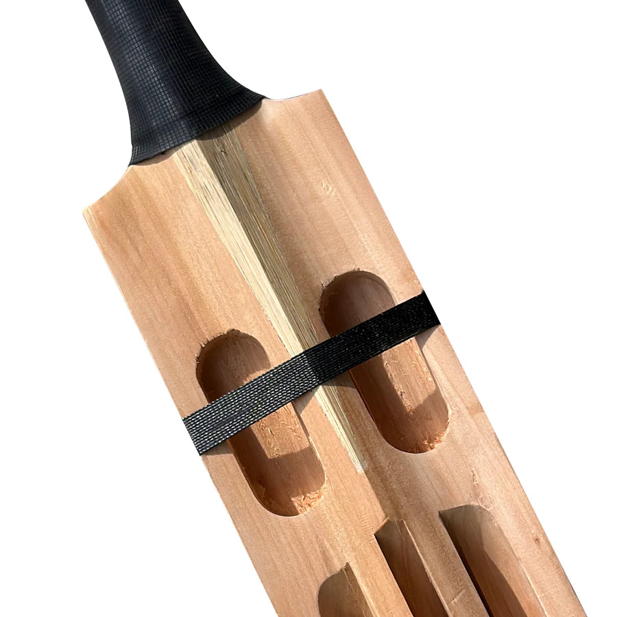 WS Limited Edition Scoop Kashmir Willow Cricket Bat – view 12