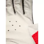 CA Player Edition Batting Gloves