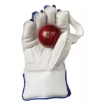 Gunn & Moore Siren Wicket Keeping Gloves Junior
