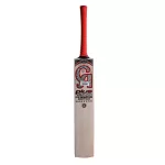 2023 CA Plus 15000 7 Star Players Edition Cricket Bat