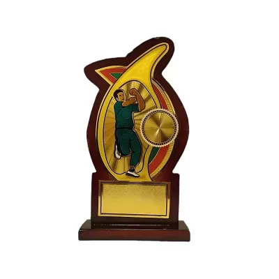 Cricket Bowler Award Trophy