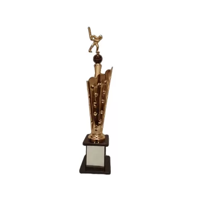 Icon Cricket Winner Trophy-2472