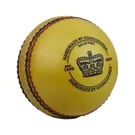 2023 Kookaburra Indoor Club Cricket Ball
