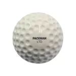 2023 Paceman LTD Machine Balls – Pack of 12