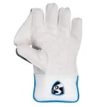 2023 SG Tournament Wicket Keeping Gloves