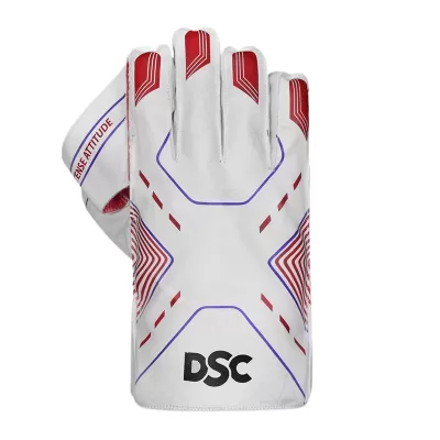 DSC Intense Attitude Wicket Keeping Gloves