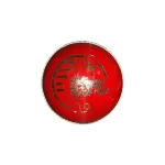 DS Cricket Ball Red