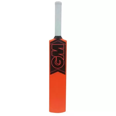 GM Opener Moulded Cricket Bat