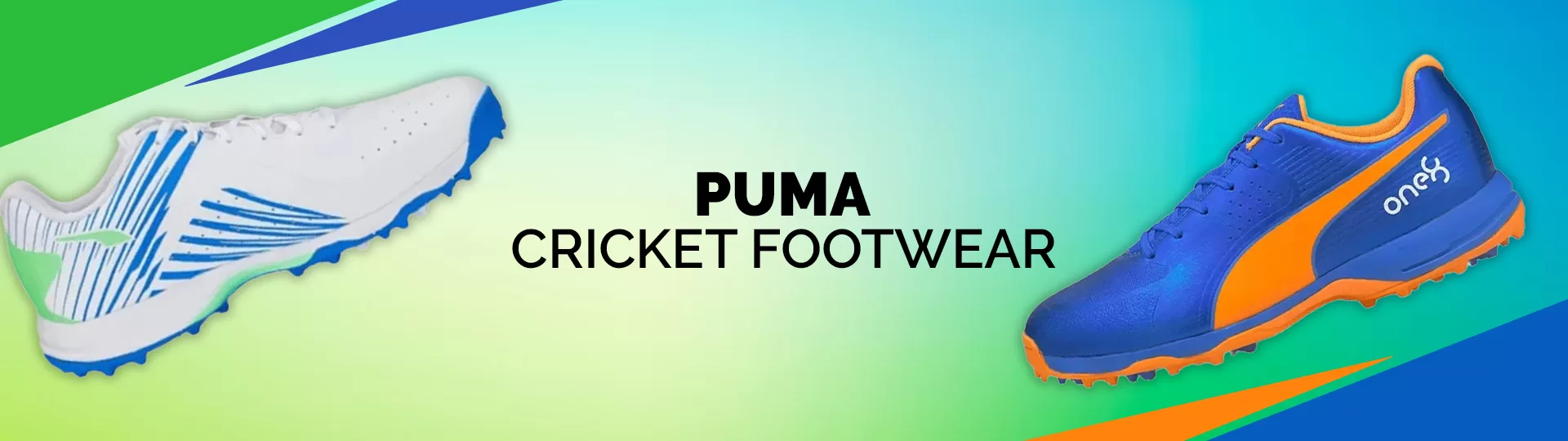 Puma Cricket Footwear