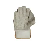 Ds Wicket Keeping Gloves