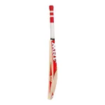 MRF Winner Kashmir Willow Cricket Bat